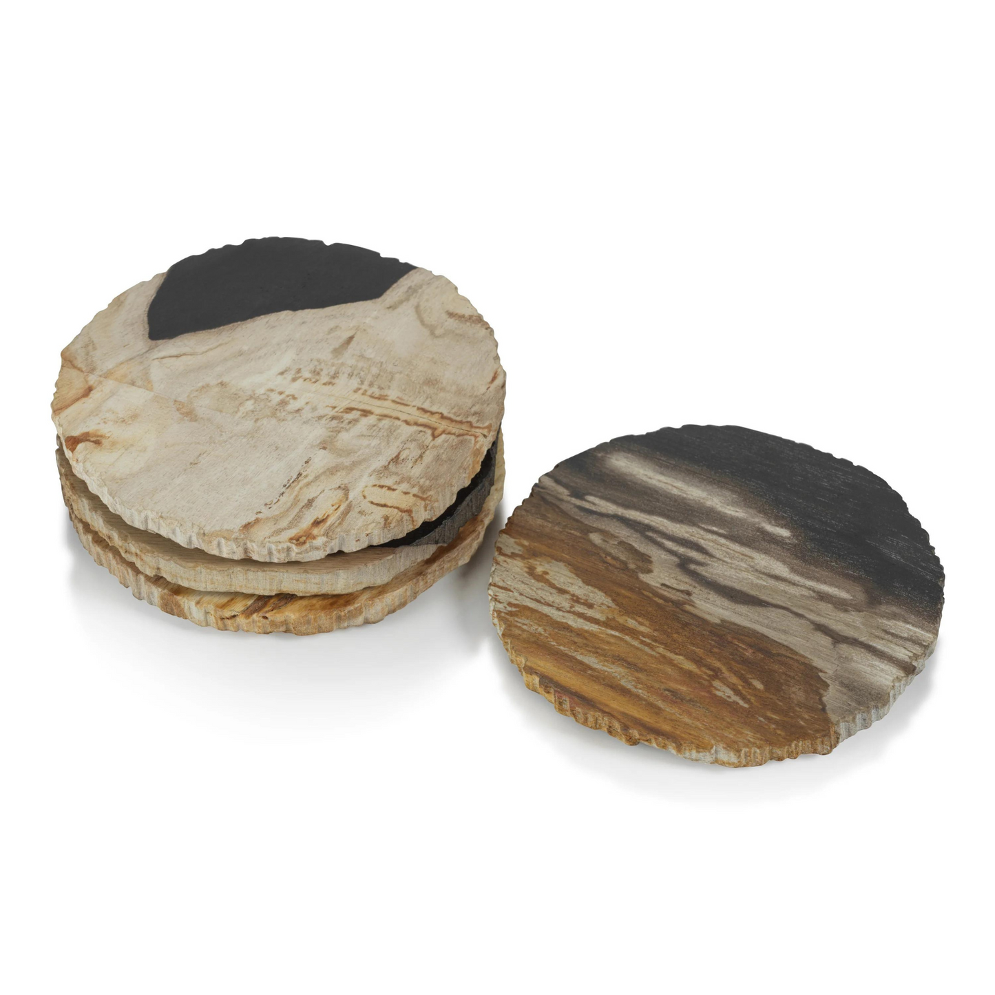 Petrified Wood Coasters (Set of 4)