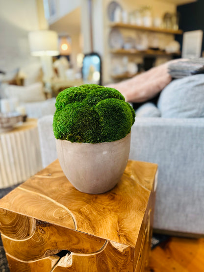 Teak Root End Table