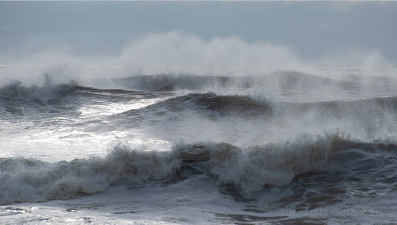 Thanksgiving Waves