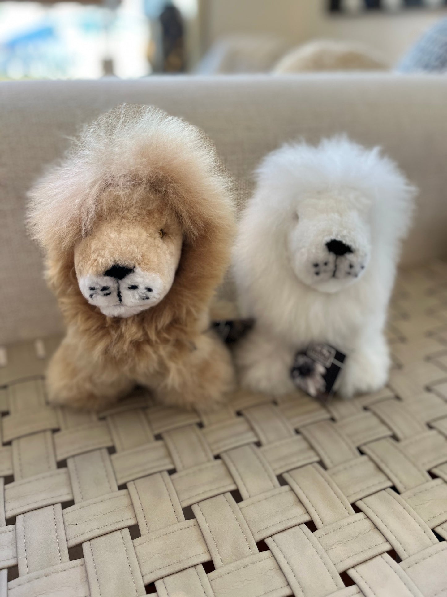 Alpaca Collectible